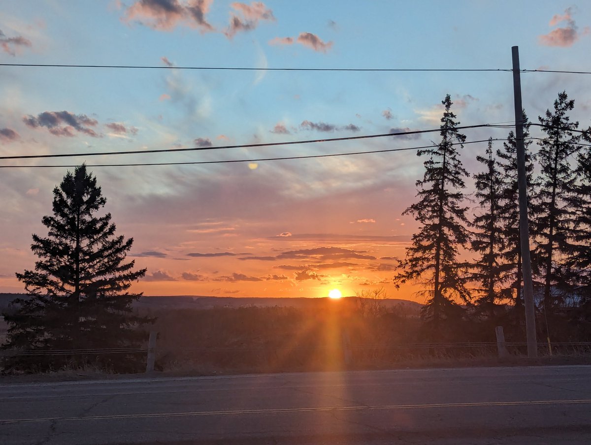 'Twas a beautiful day today! 
It feels like the first big step towards spring!
We'll give it a couple days to see how we truly fared.

#ocrcnl #winterwheat #wintercanola #gocereals #canola #ontag