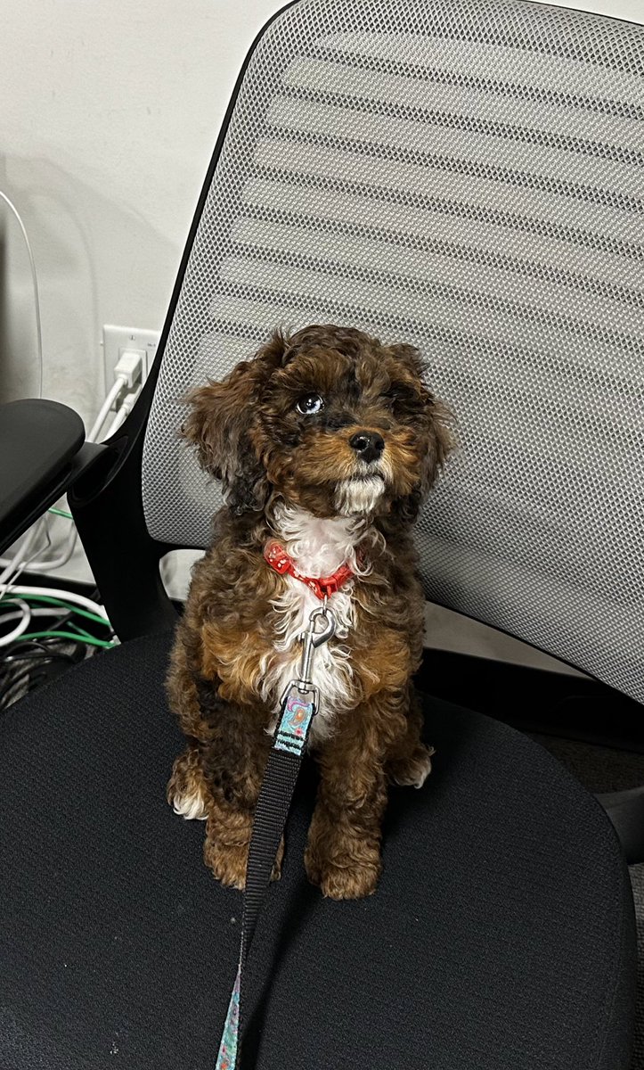 Jonathan tweet media