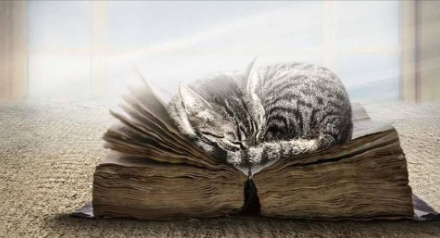 tharejaarun's tweet photo. #Astrology : Life of #Virgo 
You might not #write well everyDay, but you can always #edit a #badPage. https://t.co/QAIrqlO6QD