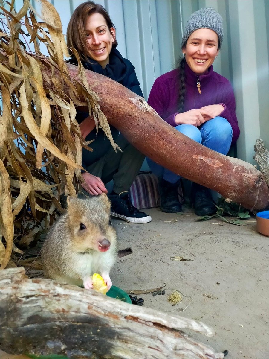 Keen to study a Master of Science Communication #scicomm @ANU_CPAS @scienceANU @ourANU? These generous @AustraliaAwards scholarships close 30 April with many Asia-Pacific & African countries eligible dfat.gov.au/people-to-peop…. Masters info: science.anu.edu.au/study/masters/… or please DM me!