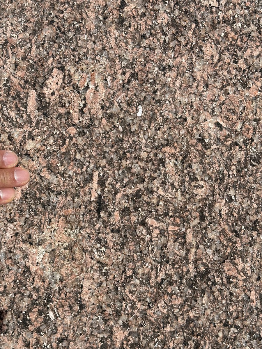テキサス州エンチャンティッドロック #EnchantedRock は斑状花崗岩の一枚岩。形成年代10億年以上前。#LlanoUplift #GrenvilleOrogeny #granite