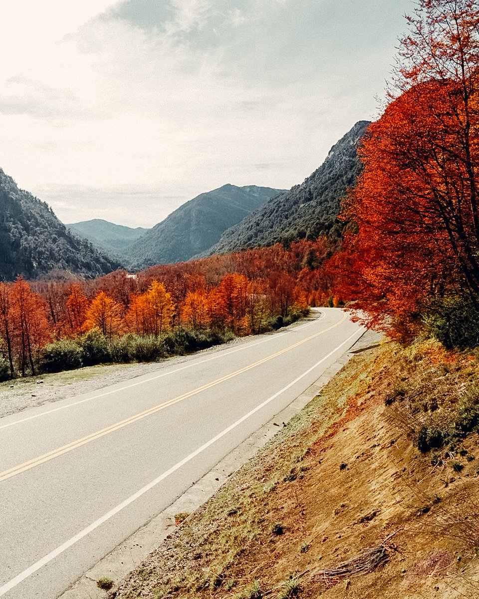 El otoño de a poco va transformando el paisaje, un espectáculo impredible! #patagonia #otoño #villalaangostura