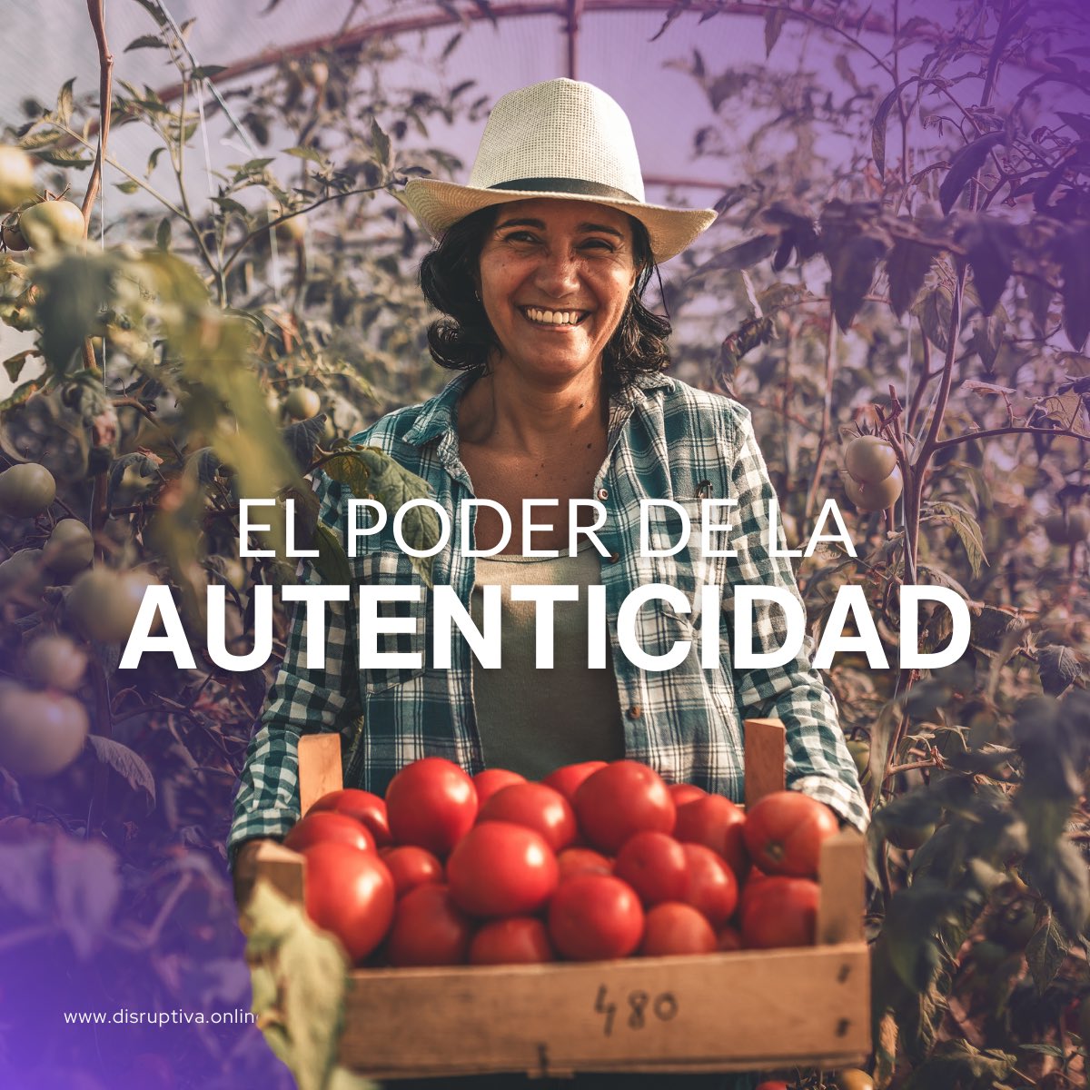 Disruptiva tweet media