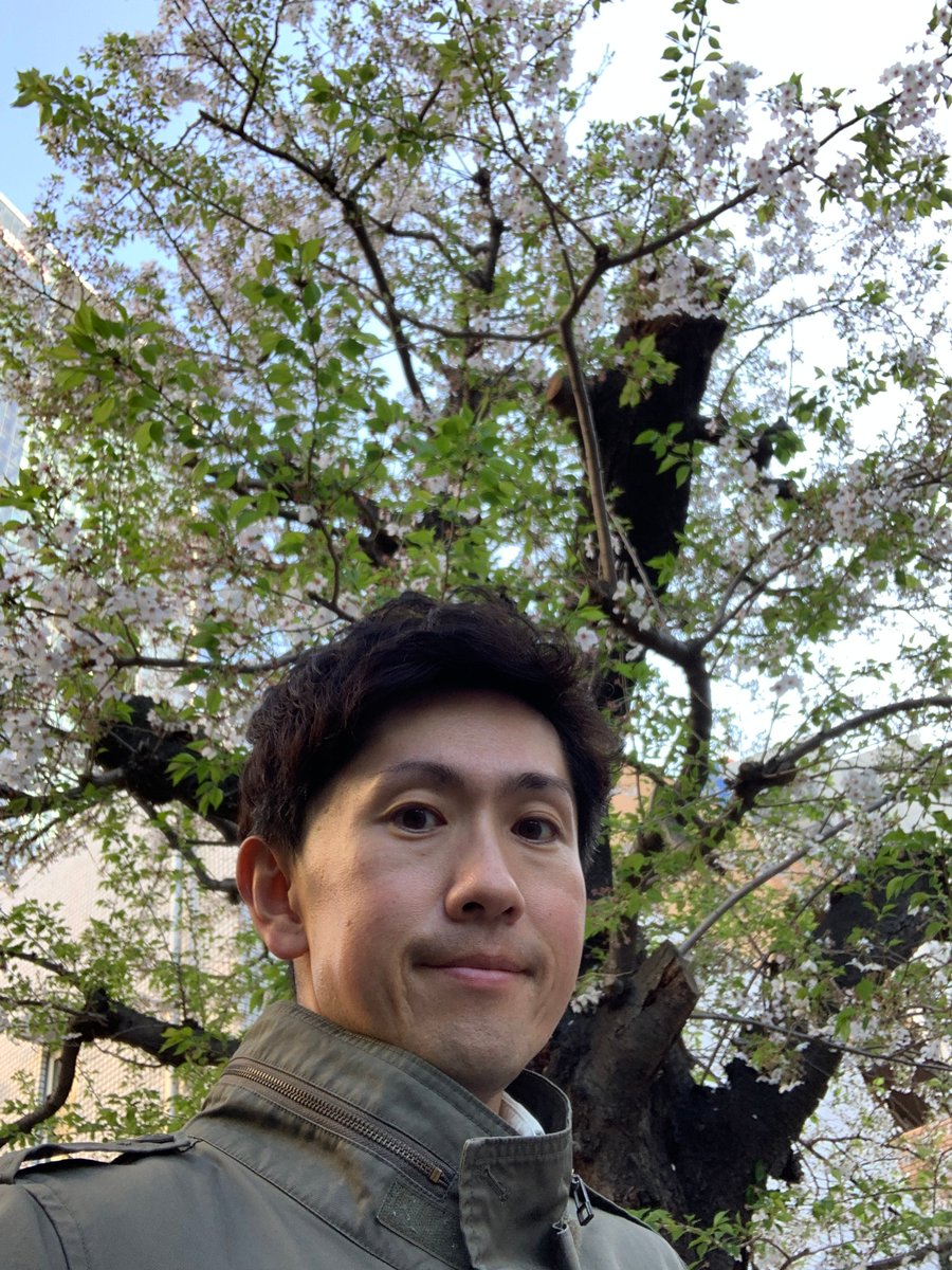 NHK World’s Yoshikawa Ryuichi brings you cherry blossoms in Yoyogi. 'Full bloom last week, but like this after a storm on Tuesday… Hope it lasts to the weekend!” Check our map of the national “sakura　front.”➡www3.nhk.or.jp/nhkworld/en/ne… #sakuraNHKWorld #みんなでつくる桜前線