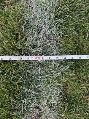 Sioux Falls Washington Track and Field (@sfwarriortrack) on Twitter photo Isabel Carda set a new South Dakota record in the Javelin at todayโs meet! Congratulations to her and Coach Stahlberg <a href="/IsabelCarda1/">Isabel Carda</a> Isabel Carda set a new South Dakota record in the Javelin at todayโs meet! Congratulations to her and Coach Stahlberg <a href="/IsabelCarda1/">Isabel Carda</a>