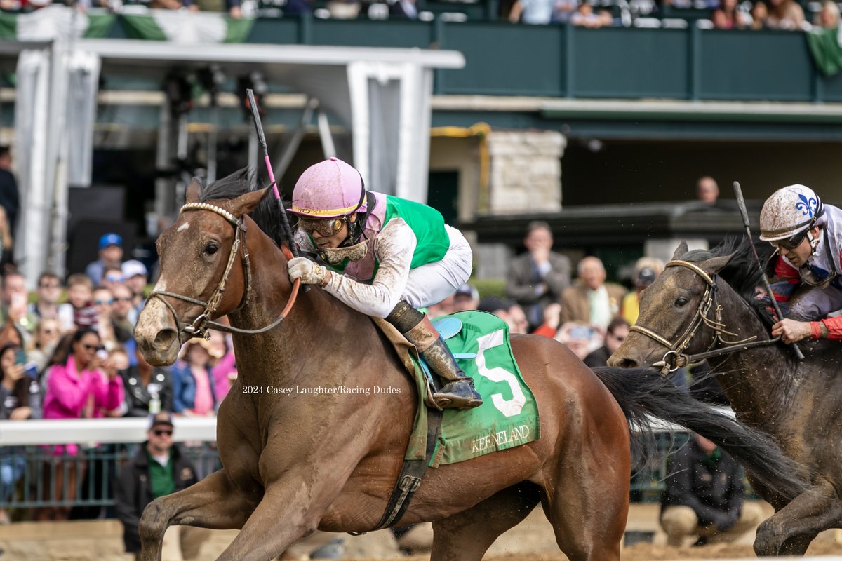 #Sidamara and @jose93_ortiz win a maiden special weight for trainer Bill Mott and owners #Juddmonte. The filly is by champion #Arrogate and out of MGSW Spring in the Air. @racing_dudes