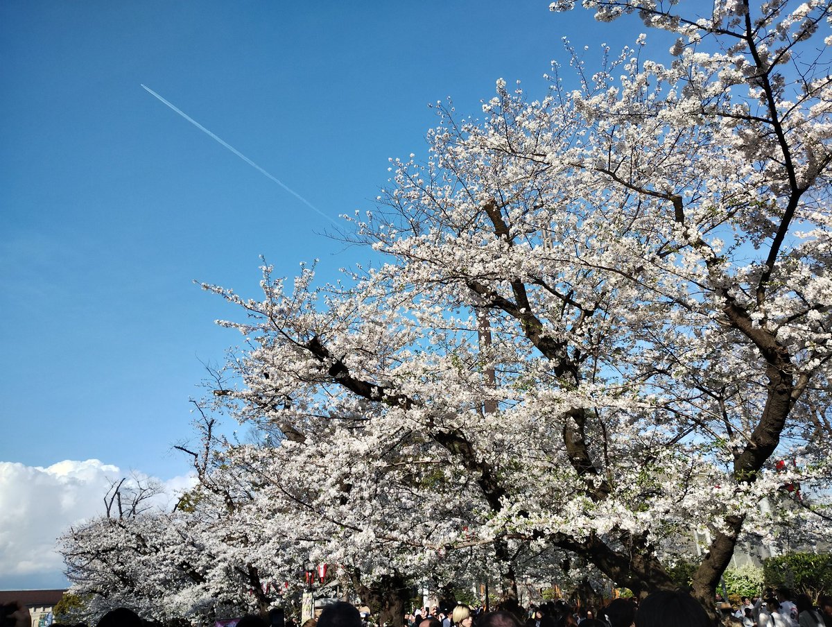 Yuka🇯🇵 tweet media