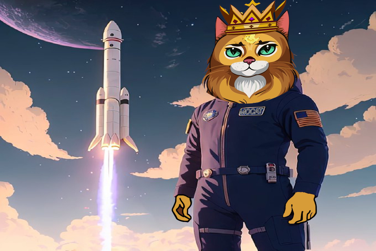 MonarCat tweet media