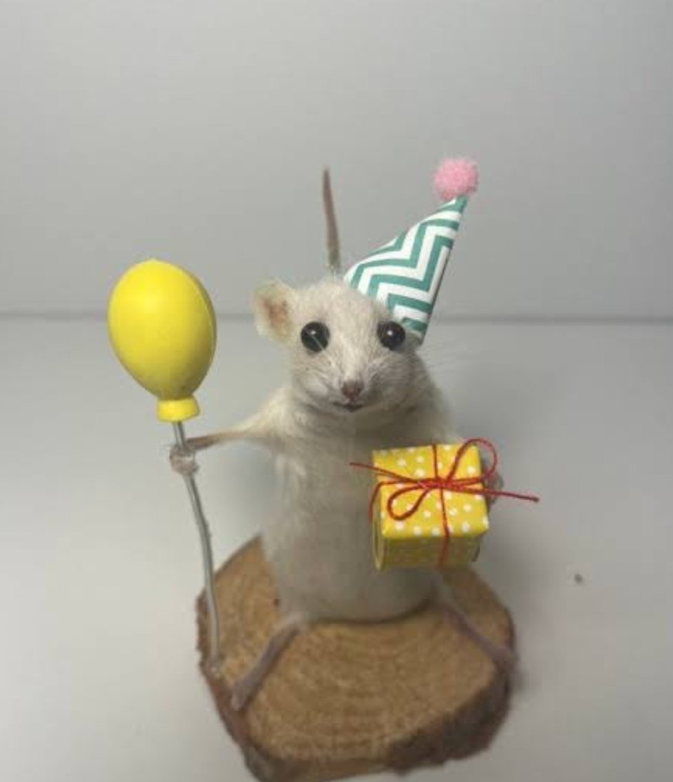 Ruchi ¥$_ ₿🇮🇳 tweet media