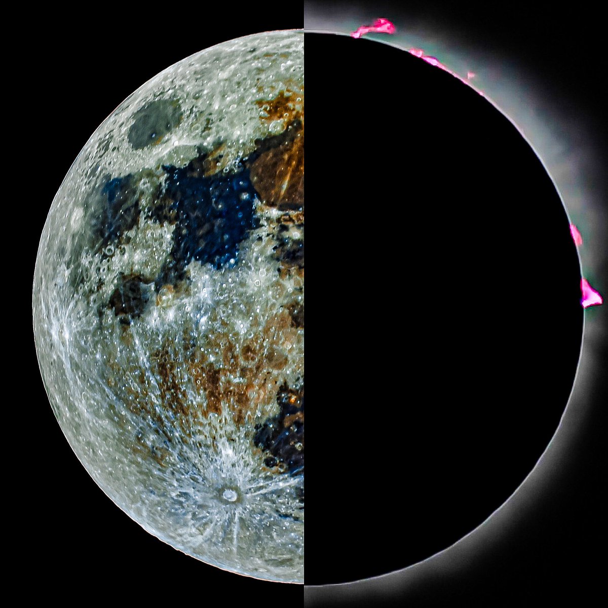 nickolaswolf tweet media