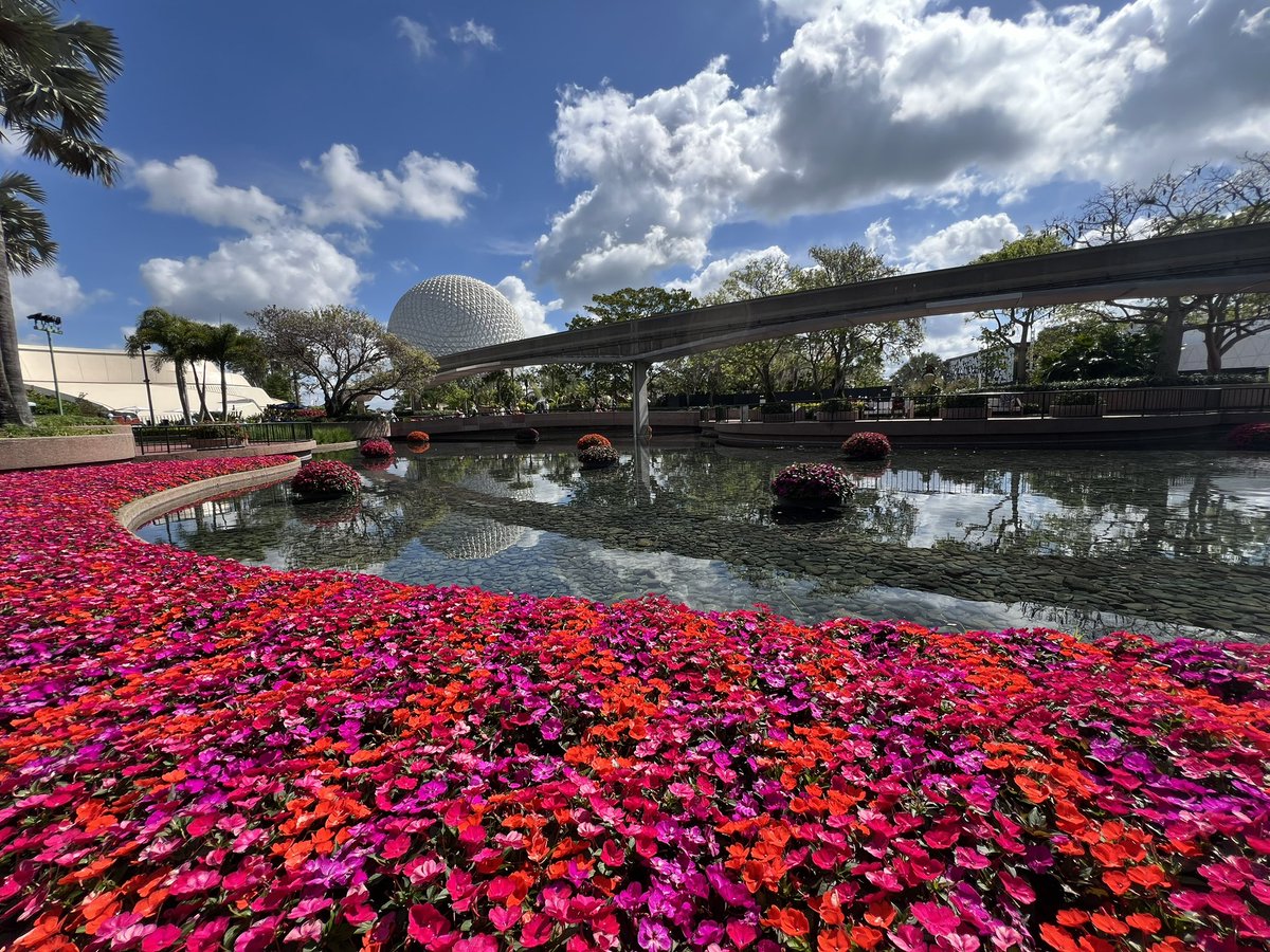 #epcot Flower & Garden Festival Topiaries 🌺💐 youtube.com/shorts/maSYejA… 👈👆 via @YouTube #DisneyWorld #WaltDisneyWorld #Disneyside #flowerandgardenfestival #TravelGoals #OutdoorAdventures @WaltDisneyWorld
