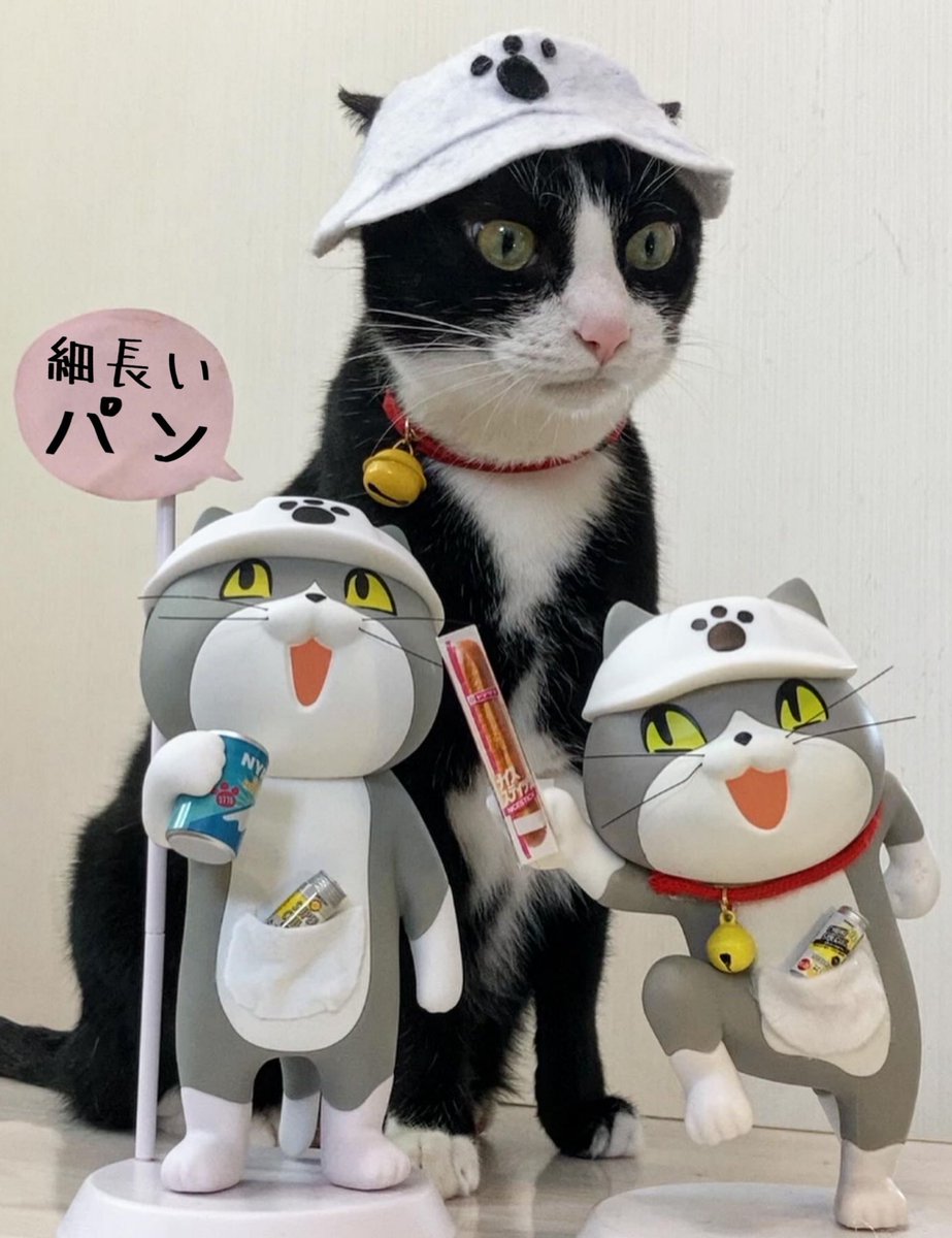 これコッペパンでヨシ？
#そのパンお気に入りね　#仕事猫　
潰さないようご安全に！