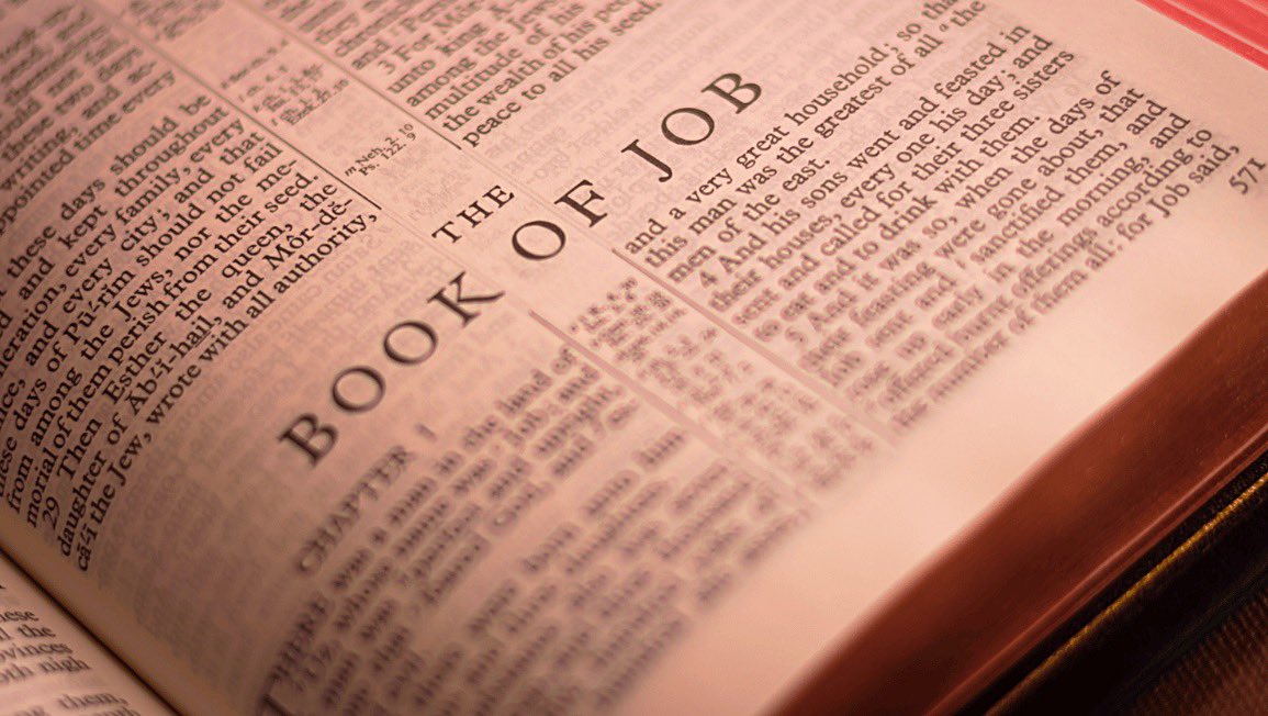 Key Takeaways from the Book of Job 🔑 Satan is roaming the earth. (Job 1:7) 🔑 God is able to put His hedge of protection around us & everything we have. (Job 1:10) 🔑 Satan cannot do anything to us unless God allows it. (Job 1:10-12) 🔑 God might remove His hedge of