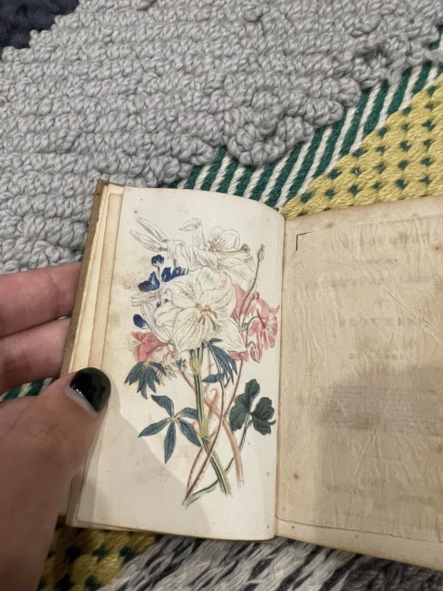 1846 “poetry of flowers.” Poetry and some floriography as an ode to each flower