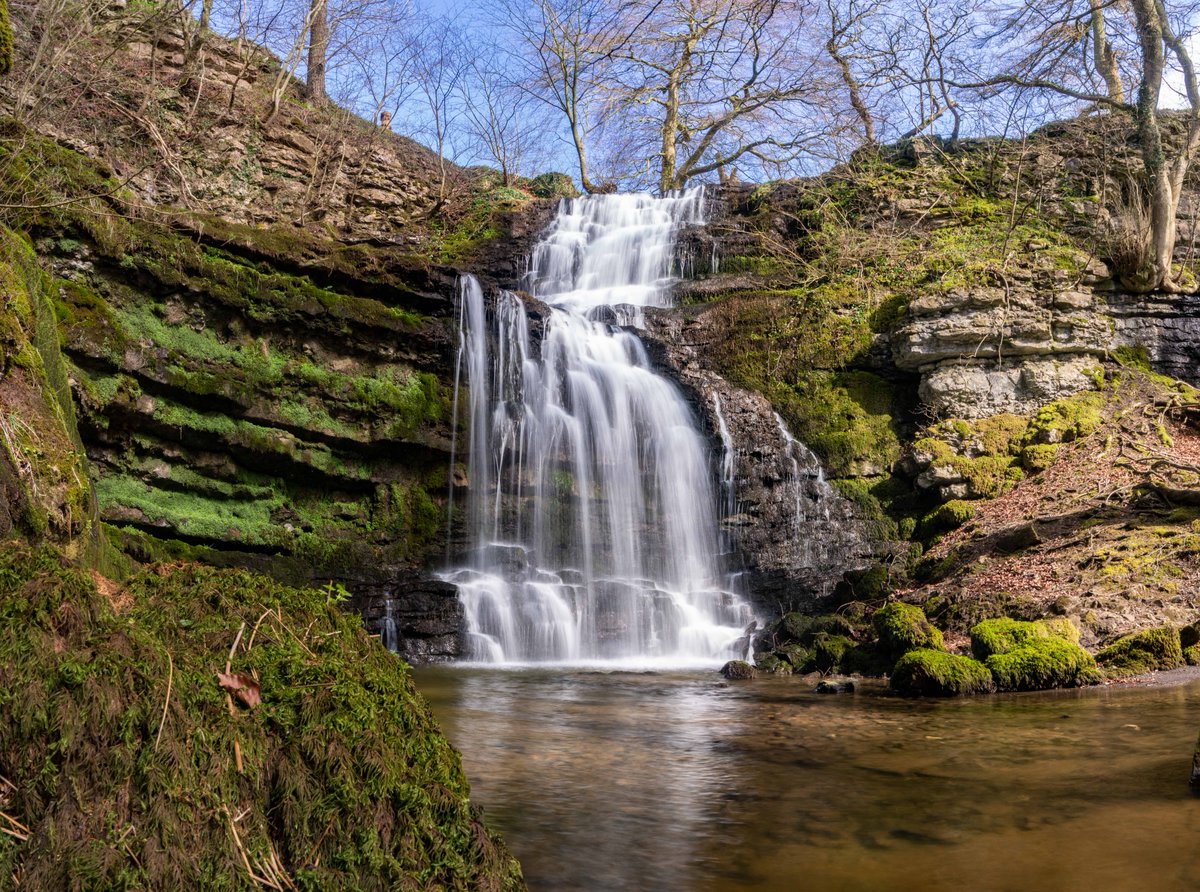 On Waterfall Wednesday we're sharing this view of Scaleber Force, a stunning 40ft waterfall in Scaleber Wood Nature Reserve just east of Settle. 📸 Andy Kay | #YorkshireDales #WaterfallWednesday