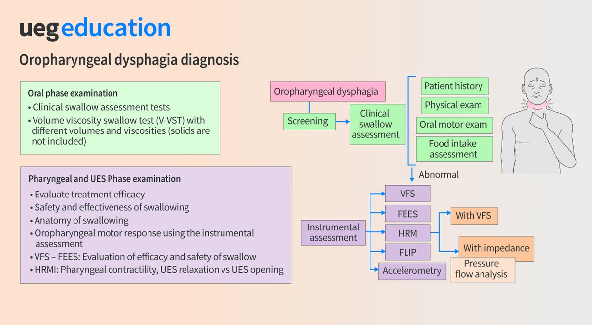 Oropharyngeal dysphagia affects the oral and pharyngeal phase & can be due to a functional process or a physical abnormality. In this #UEGEdu excerpt, possible diagnostic techniques are mentioned alongside an algorithm. Access #onlinecourse at bit.ly/4akyUM7