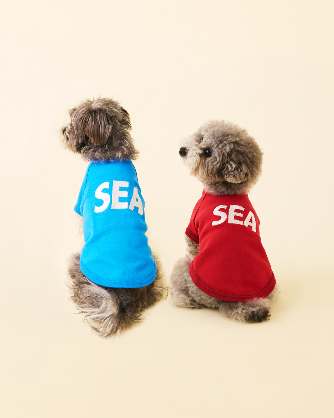 WIND AND SEA dogバンダナ　ブルー WIND AND SEA dogバンダナブルー