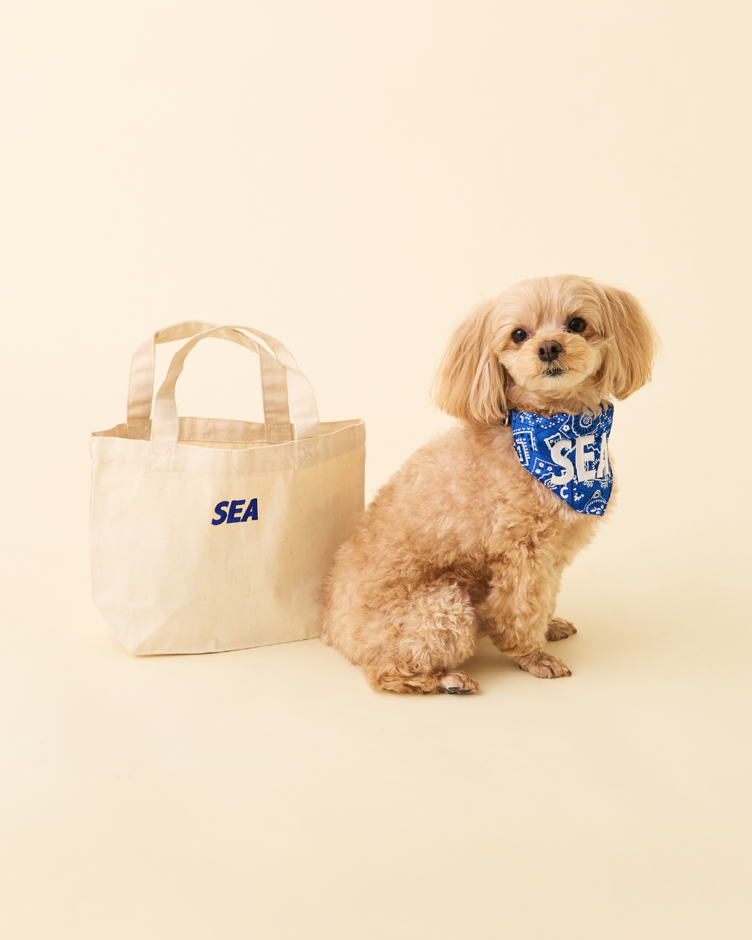 WIND AND SEA dogバンダナ　ブルー WIND AND SEA dogバンダナブルー