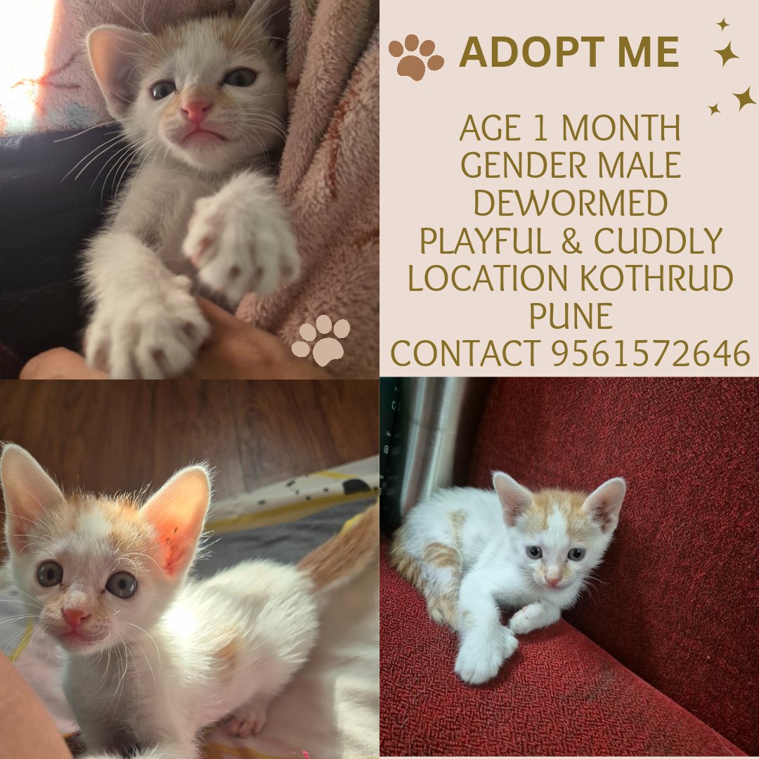 Areyounailed tweet media