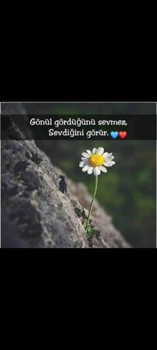 cagri (@ozgur_34_24) on Twitter photo 