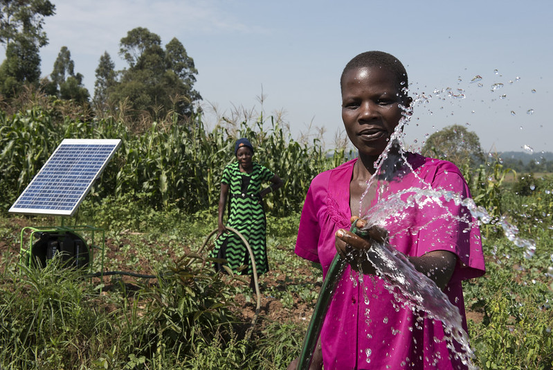 Solar pumps are becoming a crucial technology for expanding irrigated agriculture across South Asia and Sub-Saharan Africa, but their swift adoption brings risks that require careful monitoring to guide policies & investments. Learn more: wrld.bg/ySy450R8VoJ