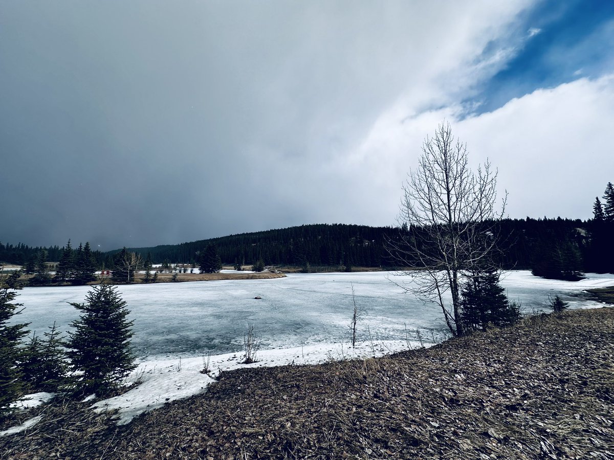 steveplusc's tweet image. The mental benefits of running &amp;gt; the physical benefits of running.