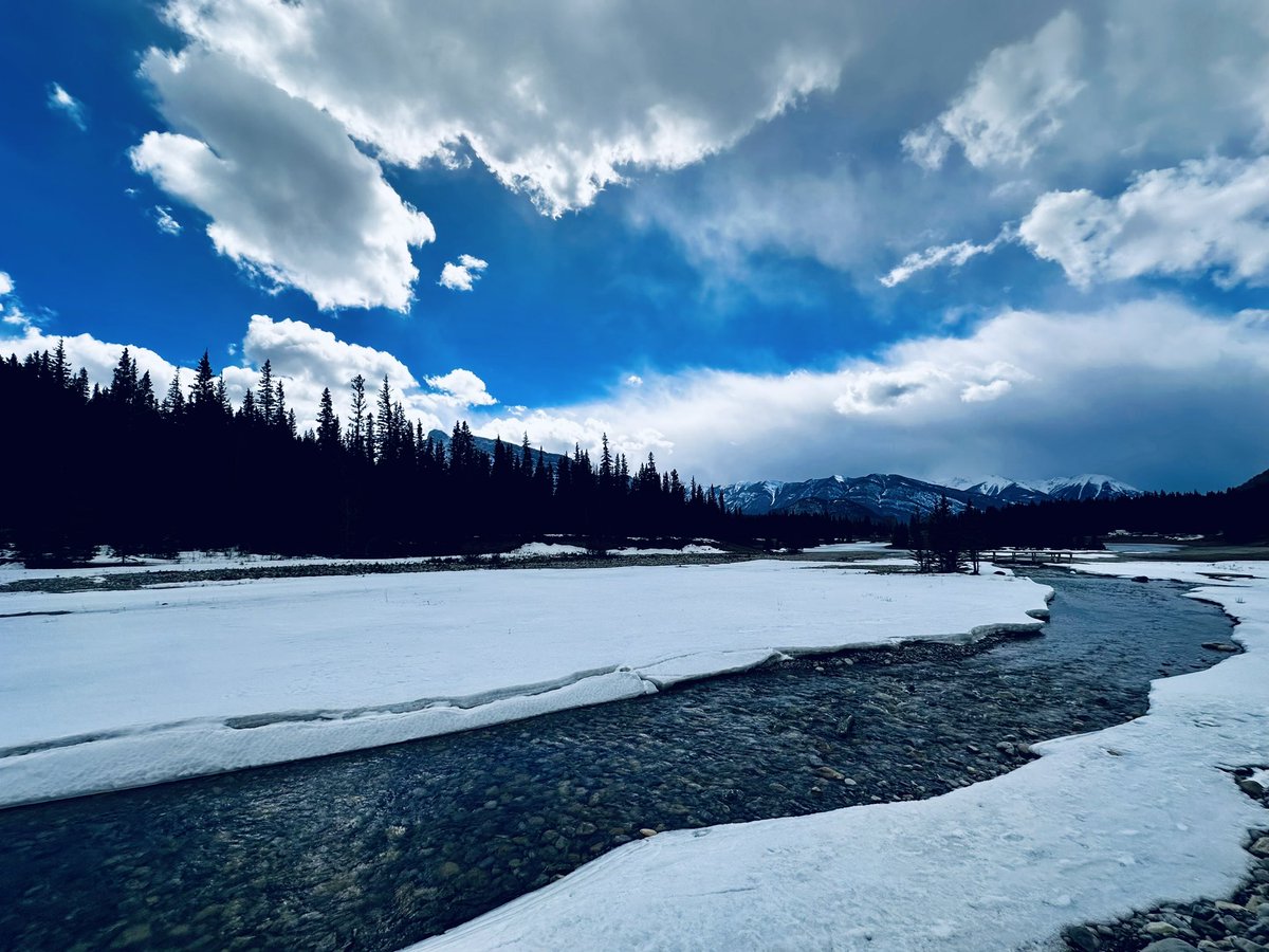 steveplusc's tweet image. The mental benefits of running &amp;gt; the physical benefits of running.