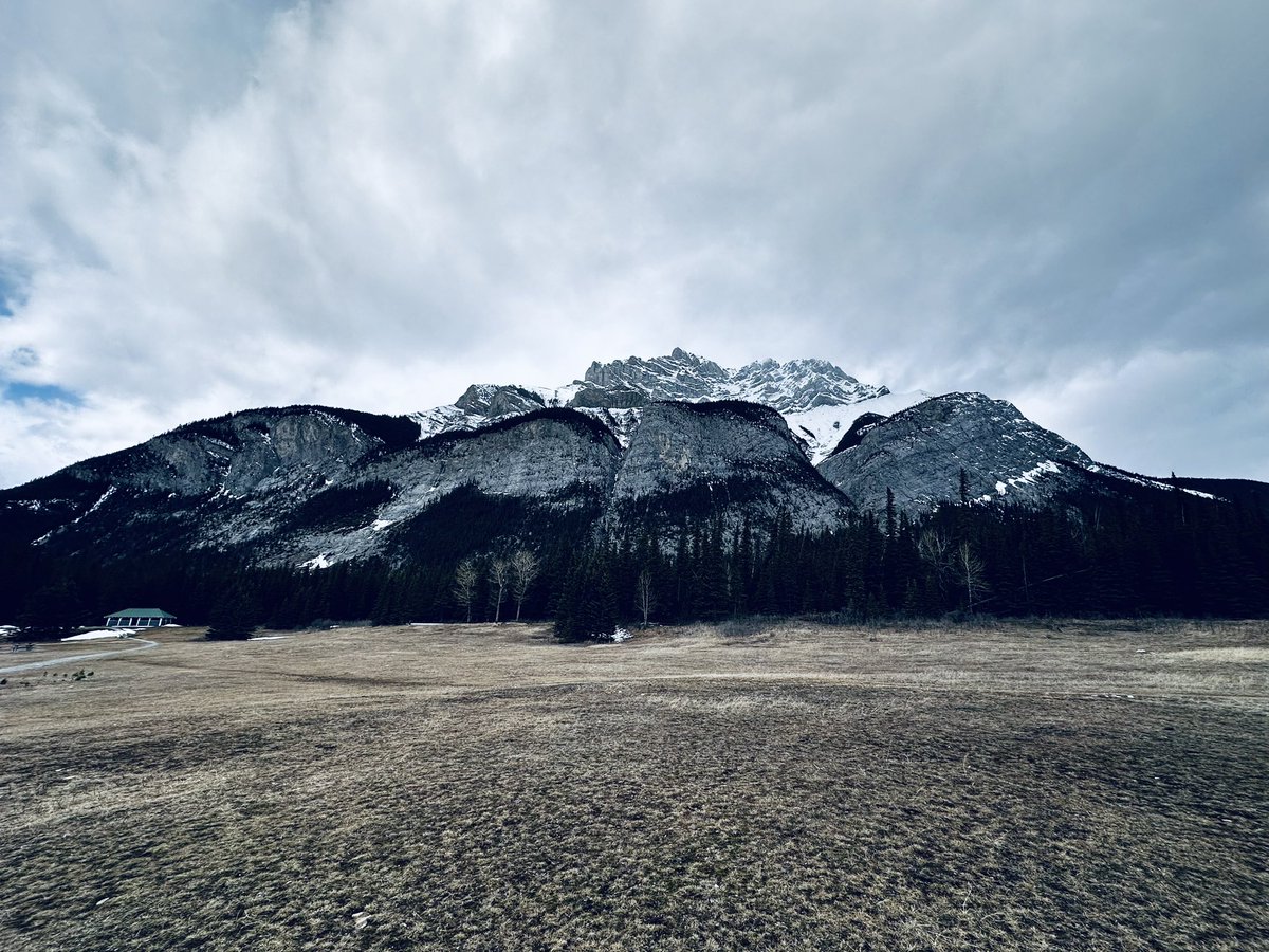 steveplusc's tweet image. The mental benefits of running &amp;gt; the physical benefits of running.