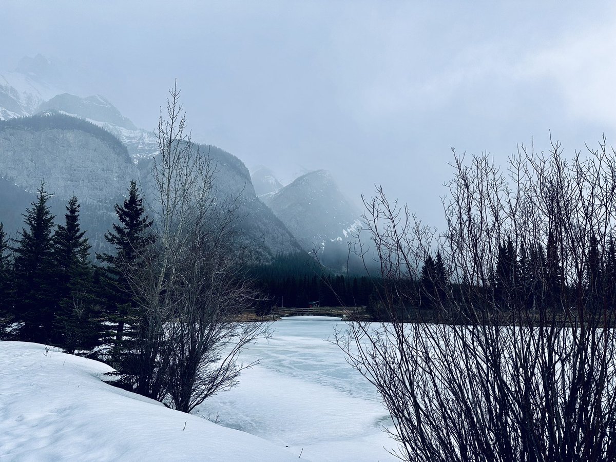 steveplusc's tweet image. The mental benefits of running &amp;gt; the physical benefits of running.