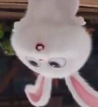 “  แล้วอันนั้นเอาไว้ทำอะไรหรอยาย  แล้วมีทำไมเยอะแยะหรอจ๊ะ  เอ้อ  จริงด้วย เมื่อวานไปกินกุ้งมังกรมาอร่อยมากเลย ทีหบังเดี๋ยวซื้อกลับไปฝากนะยาย 💬💭🗯️💬💬💭🗯️  ”

*  พูดจ้อกับคุณสึรุไม่หยุดตั้งแต่โดนจับแขวนบนราวตากผ้า  ไม่พักหายใจและไม่หยุดพูดด้วย  *