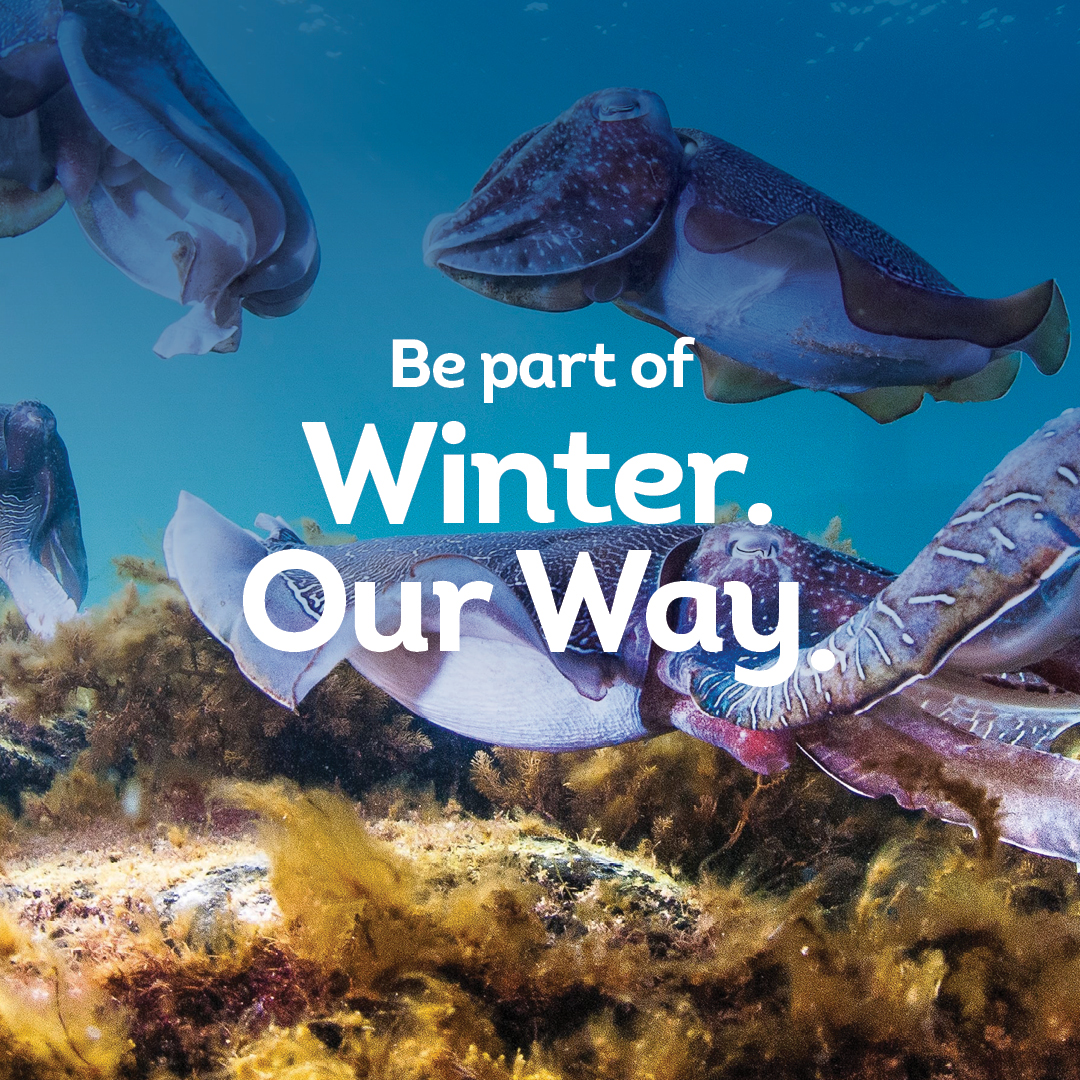 SA tourism operators can showcase their unique winter offerings to key domestic markets by being part of 'Winter. Our Way.' Find out how to make the most of the campaign to help drive bookings to your business in the cooler months at tourism.sa.gov.au/support/campai…