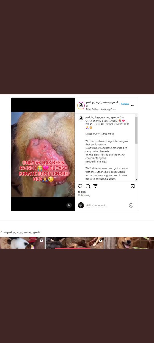 @CuddleB15859820 @TakerPets @TomJumboGrumbo @BarryPe67254985 @EquineSemaphore @DocHalston @GillyMeeky This graphic video of a dog with a tumor that @TakerPets posted as a new case on the 29th March and retweeted a couple of days ago was originally posted by a different rescue account on IG back on the 23rd of February???