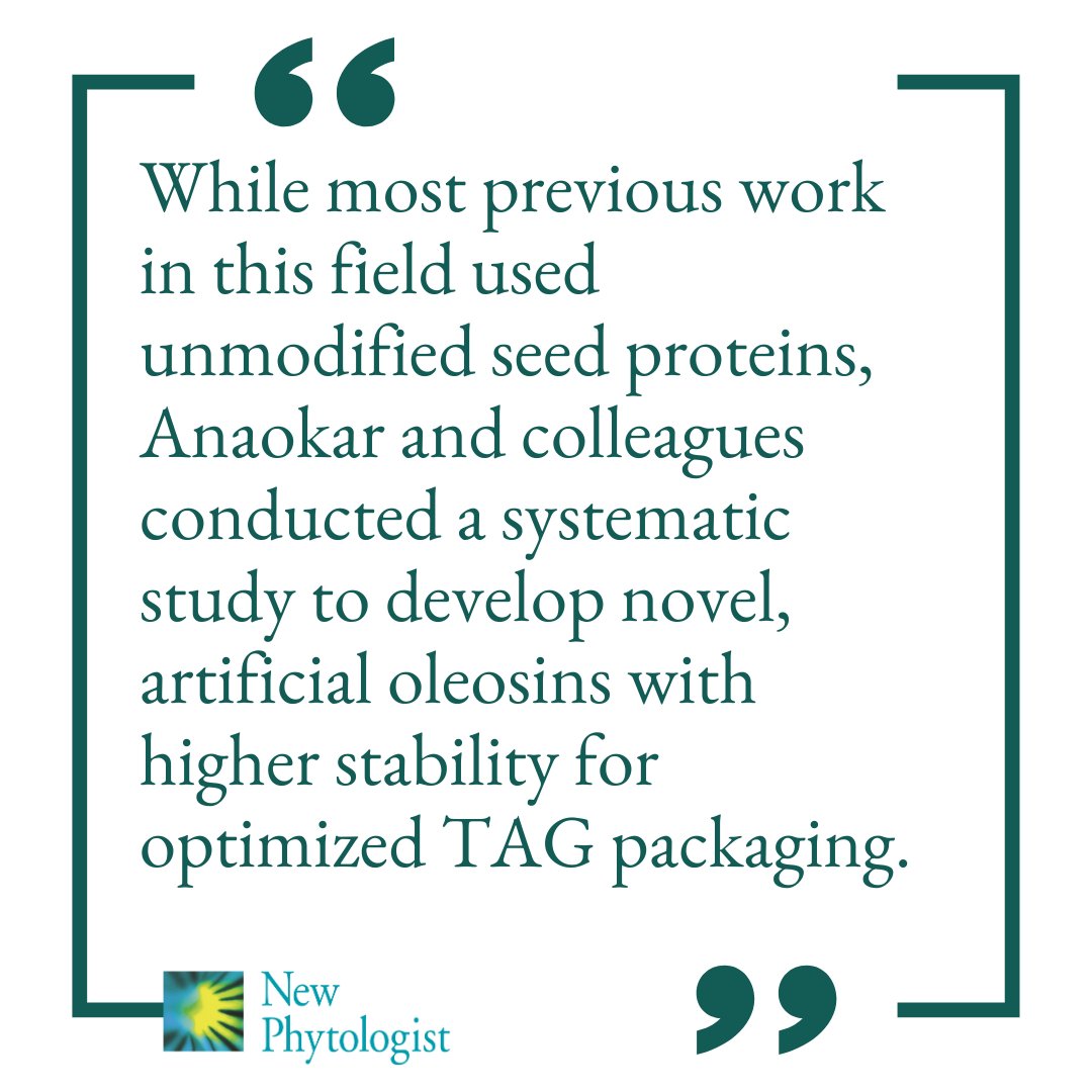 Designer oleosins boost oil accumulation in plant biomass 📖 ow.ly/lnv350RapAs #Commentary by Radin Sadre highlighting the recent work by Anaokar et al. 📖ow.ly/mFOO50RapAq