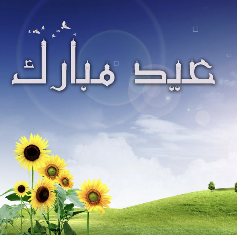 Eid al-Fitr Mubarak 🌺