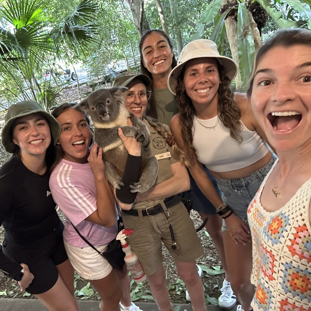 Best day ever 🥹 The Mexican team meet some local wildlife at @lonepinekoala! @visitbrisbane @Queensland #VisitBrisbane #thisisqueensland @BJKCup