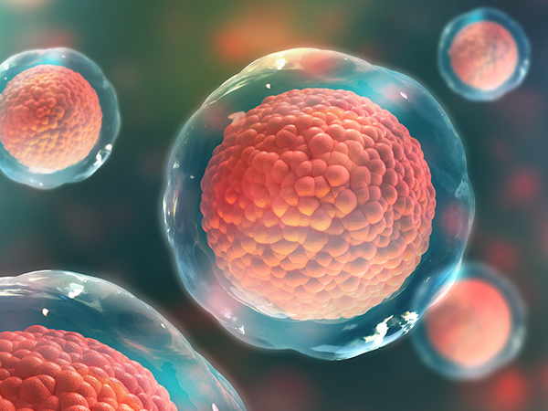 Estudiantes de Biotecnología del Tecnológico de Monterrey campus #Toluca, elaboraron un protocolo de investigación centrado en terapia celular regenerativa para tratar la enfermedad de Parkinson. #educacion #Mexico #parkinson <a href="/TecdeMonterrey/">Tecnológico de Monterrey</a>