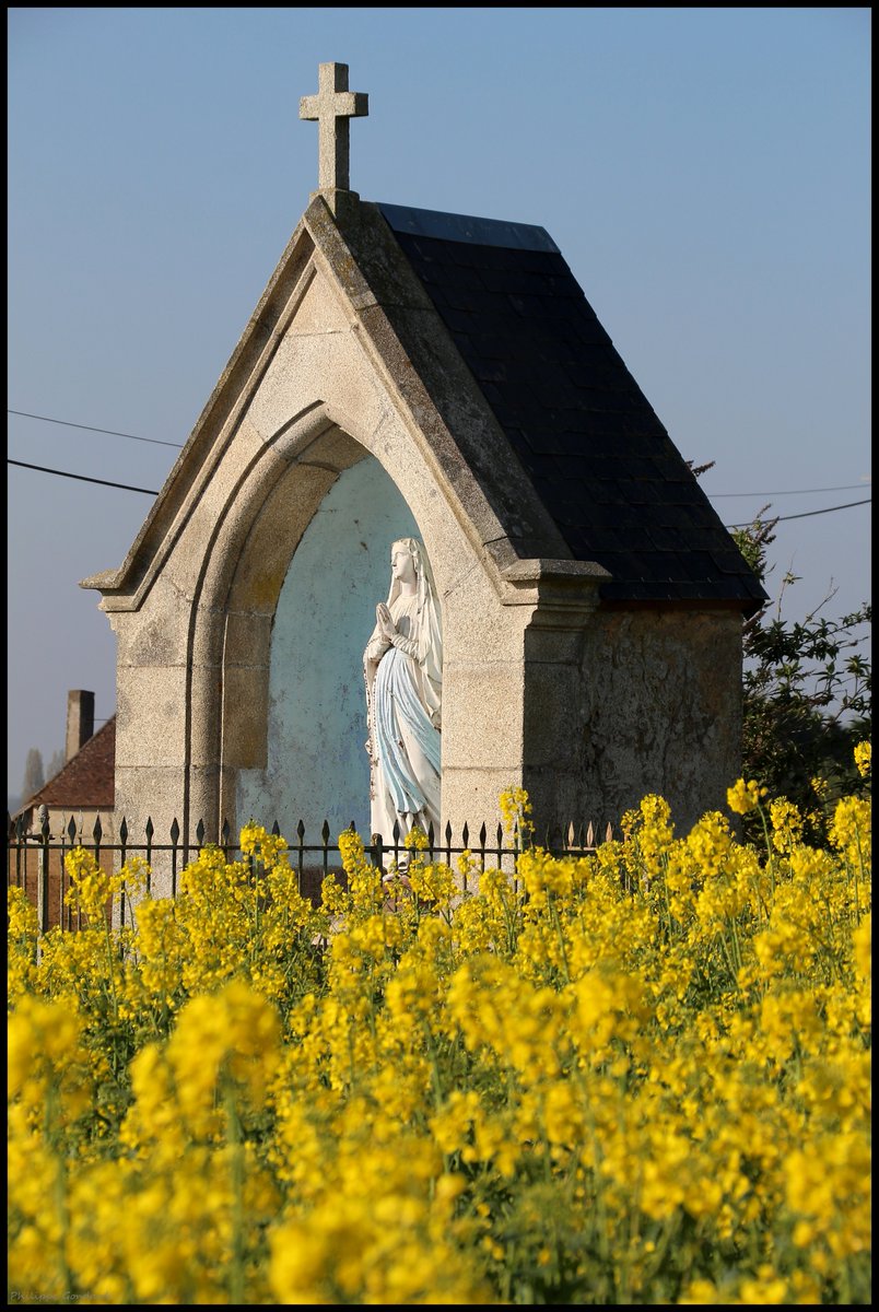 Sarthe V'la le printemps ! #René #Sarthe #laSarthe #sarthetourisme #labellesarthe #labelsarthe #Maine #paysdelaloire #paysage #nature #campagne #rural #ruralité #gondard #route #road #OnTheRoadAgain #graphique #fleurs #colza