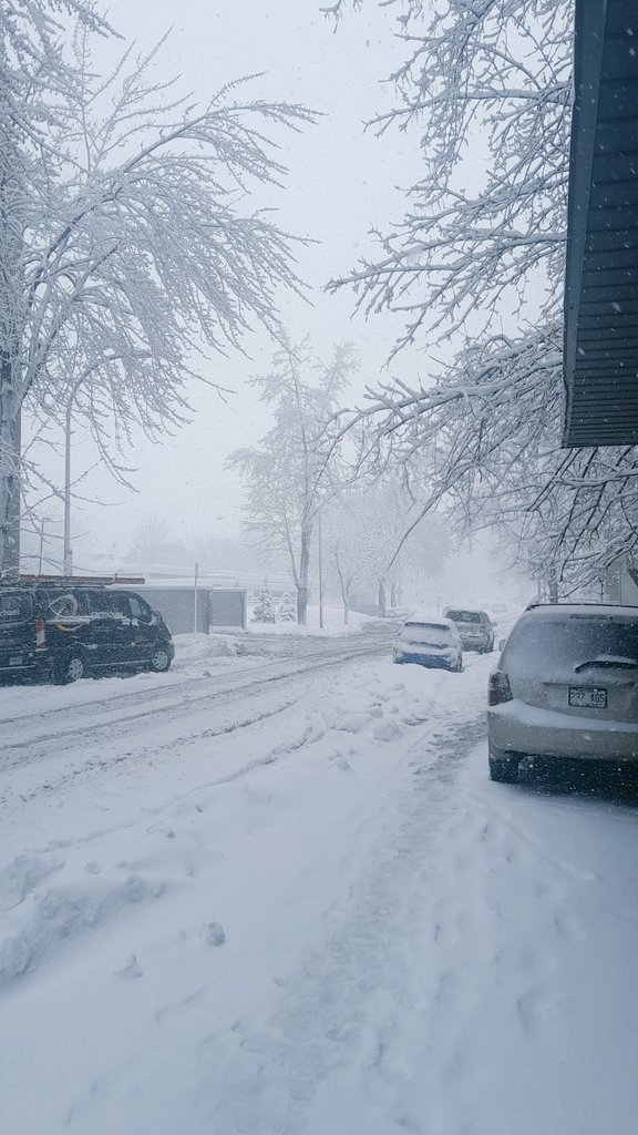 Montréal last winter 2024!!