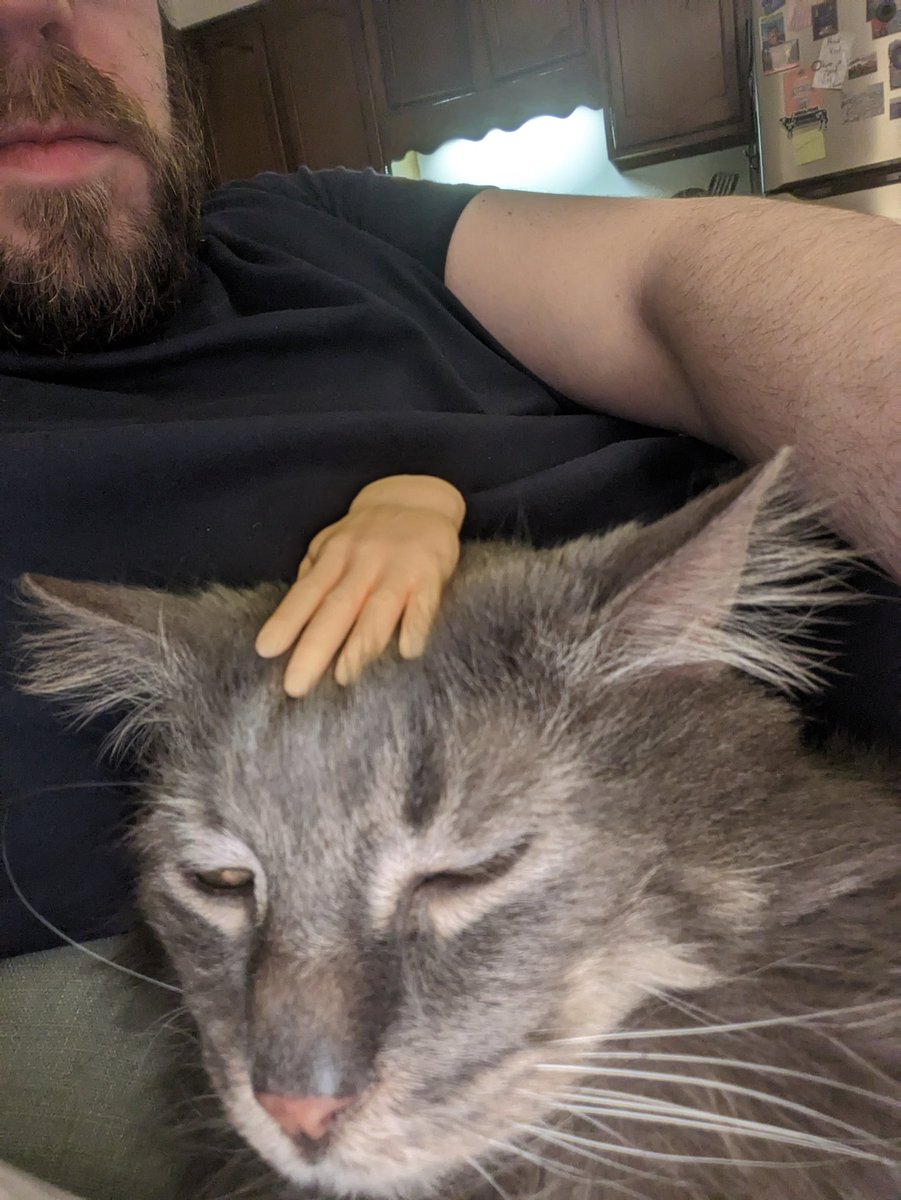 Still petting your own cat? LMAO OK! 😹