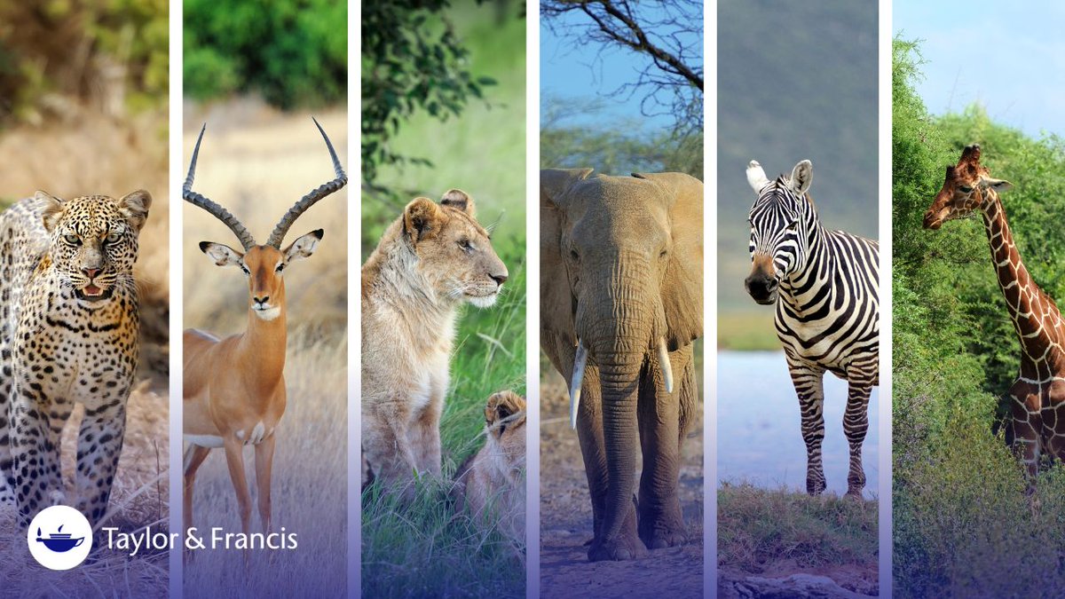 Protecting wildlife today for a thriving tomorrow 🌍🐾 Browse our free access article collection from now until 31 May 2024. Discover it here 👉 spr.ly/6018ZAbRg #WWD24 #ConnectingPeopleAndPlanet @WildlifeDay