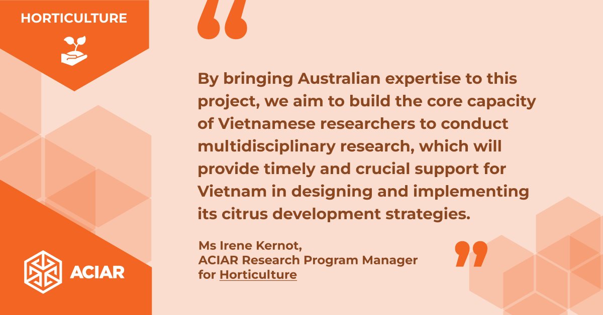 🍊 Vietnam's Plant Protection Research Institute is leading a new #ACIAR project that aims to develop a research roadmap to support the sustainable expansion of the #citrus industry in #Vietnam 🇻🇳 Read more bit.ly/3vC4PZ5 @AusAmbVN