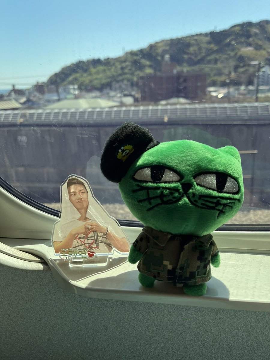 ASEA2024に行くお友達がこの緑のネコを落としてしまったようで🥲 新横浜から横浜まで向かうJR横浜線の中か横浜のホテルメッツロビーかもしくはベイクォーターか🥲🥲🥲 もし見かけた方がいらしたら、DMいただけるとうれしいです #ASEA2024 #オクキャット