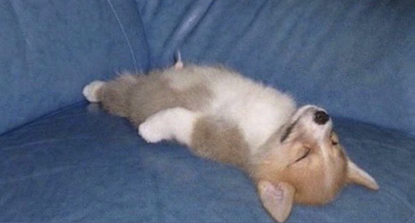 poe_real69's tweet photo. ‘I’ll do it when I get home’

Me wen I get home https://t.co/ENtjcepVZ6