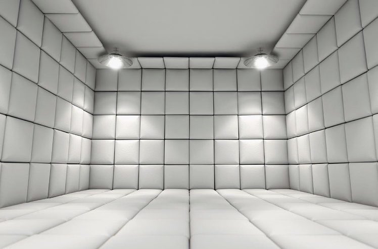 you get $30 million to stay in here for 1 year with your phone as your only entertainment. could you do it😭?