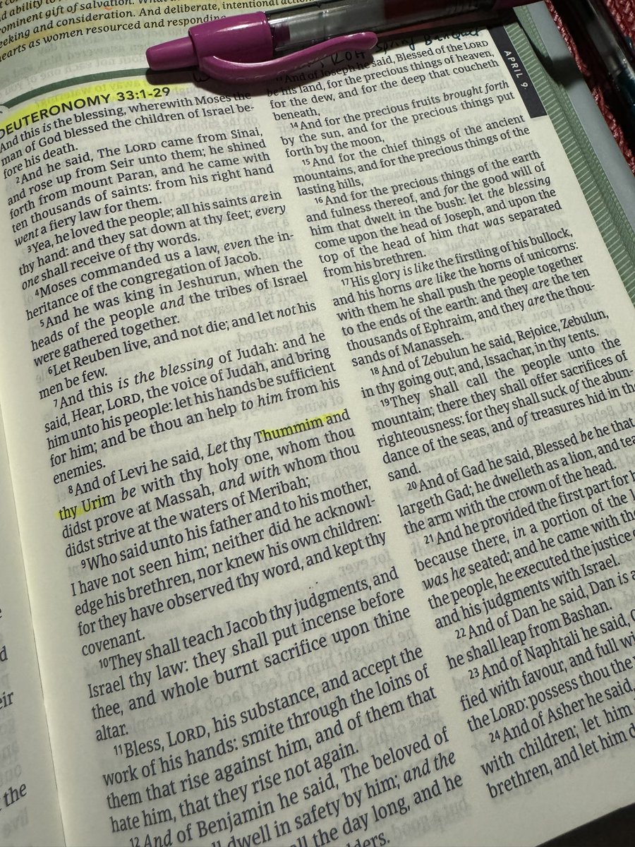 Friends! I almost made it through Deuteronomy! My 3 takeaways at 12:11 am 😂
1. I’m still sad Moses only got to see the Promised Land from Mt Nebo. 
2. God takes obedience from leaders (Moses and everyone) seriously
3. I want to learn more on the Thummin & Urim.

Ok goodnight