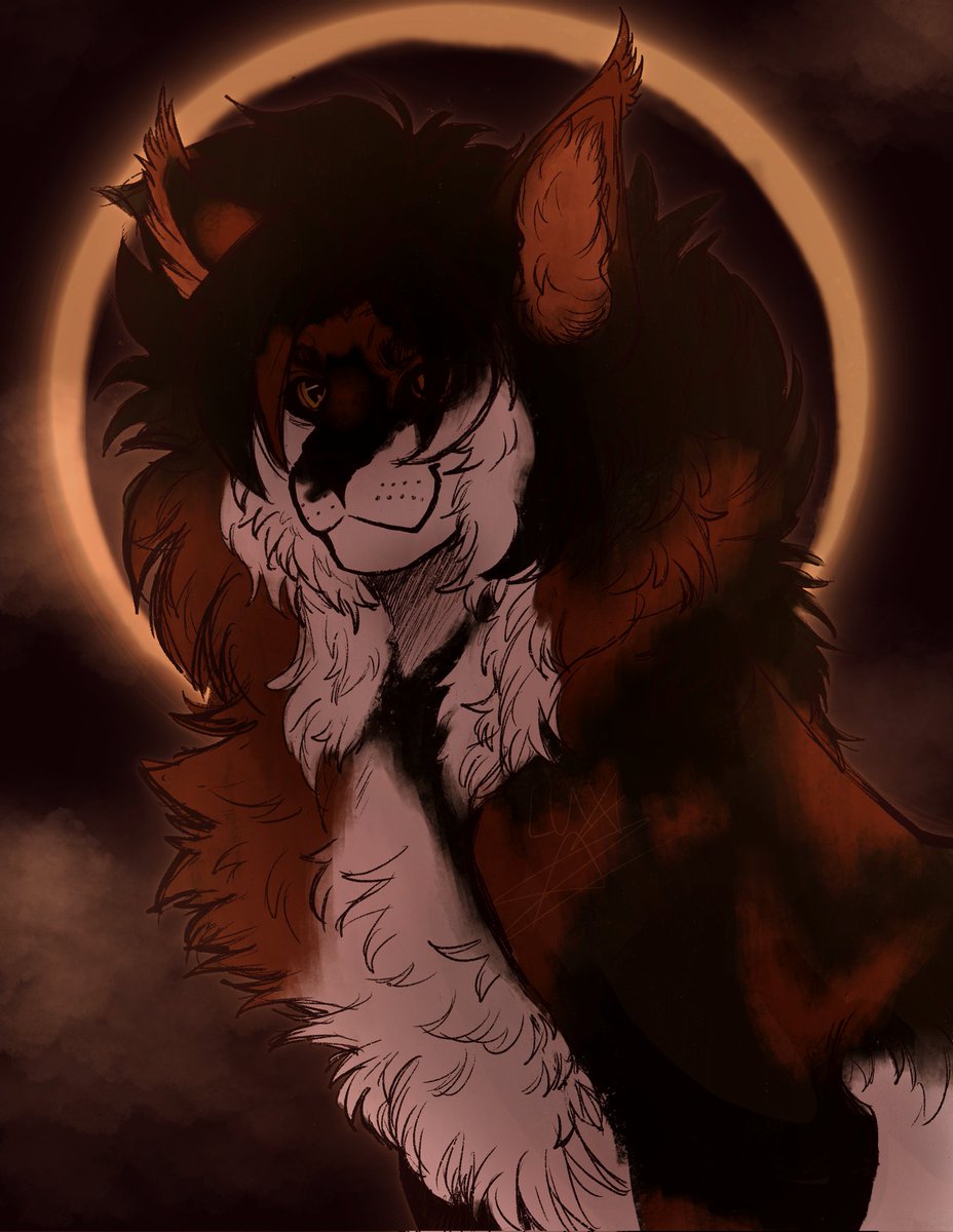 _KIIBLADE's tweet image. everything moves
#sol #SolarEclipse2024 #warriorcats