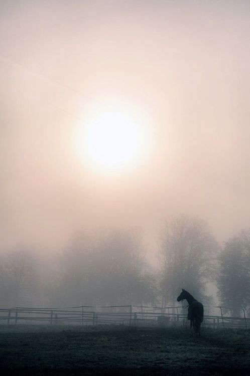 Beyond the bounds our staring rounds, Across the pressing dark, The children wise of outer skies Look hitherward and mark A light that shifts, a glare that drifts, Rekindling thus and thus, Not all forlorn, for Thou hast borne Strange tales to them of us - Kipling #GoodNightX