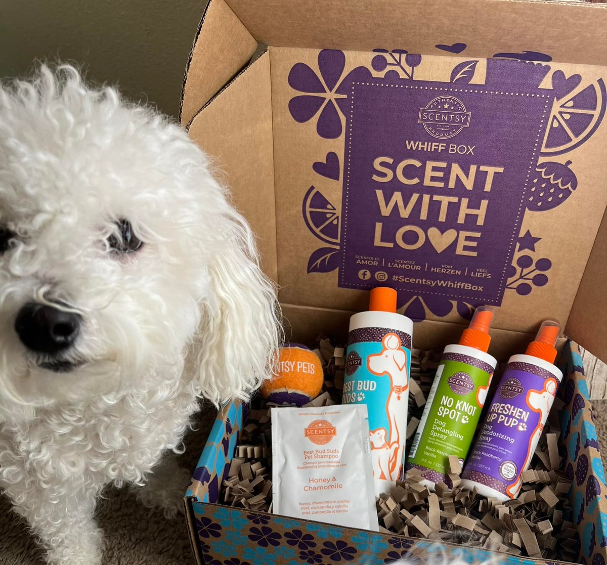 One of the Top 9 sellers in April!
🐕 Woof Box🐕
lisavaughn.scentsy.us/party/18196125…
🐩Jammy Time Best Bud Suds Pet Shampoo
🦮Jammy Time Freshen Up Pup Dog Deodorizing Spray
🐕‍🦺Jammy Time No Knot Spot Dog Detangling Spray
🐶UFO Scentsy Pet Toy
#dogs #dogsarefamily #pets #AnimalLovers