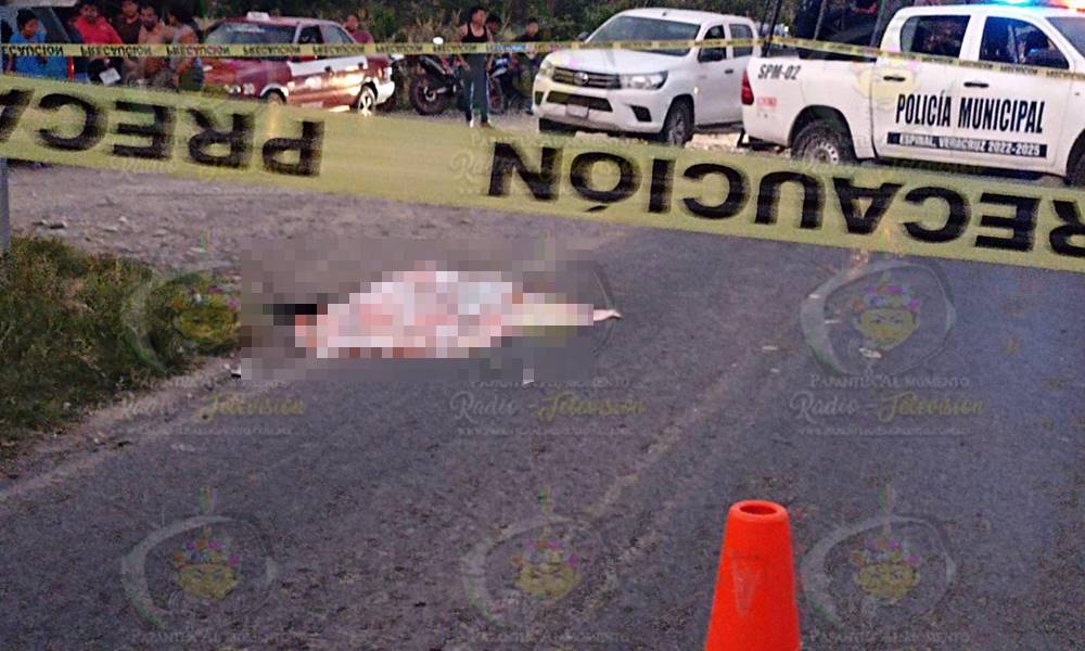 ELPINERO's tweet image. #POLICIACA 🚔🚨 | Borracho conductor mata a motociclista en #Espinal, #Veracruz

elpinero.mx/borracho-condu…