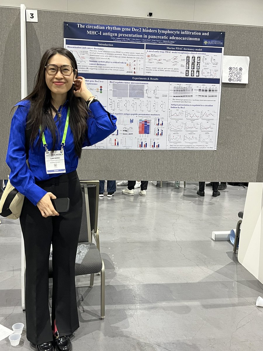 Paula Vertino tweet media